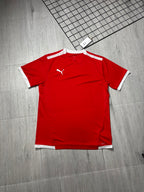 Conjunto Puma