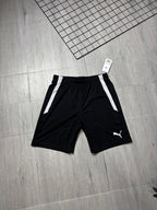 Conjunto Puma