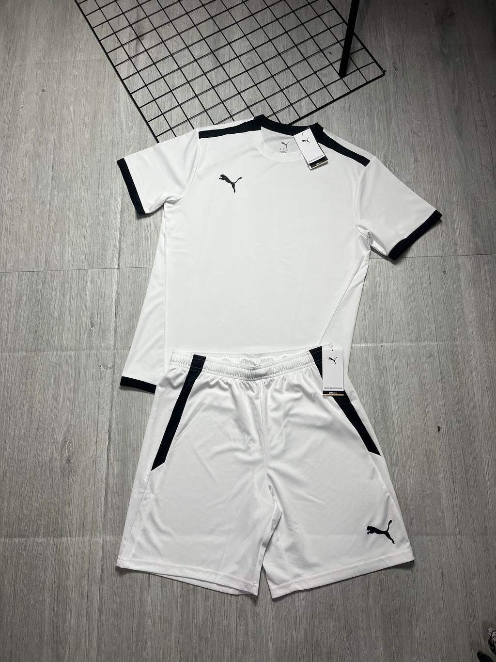 Conjunto Puma