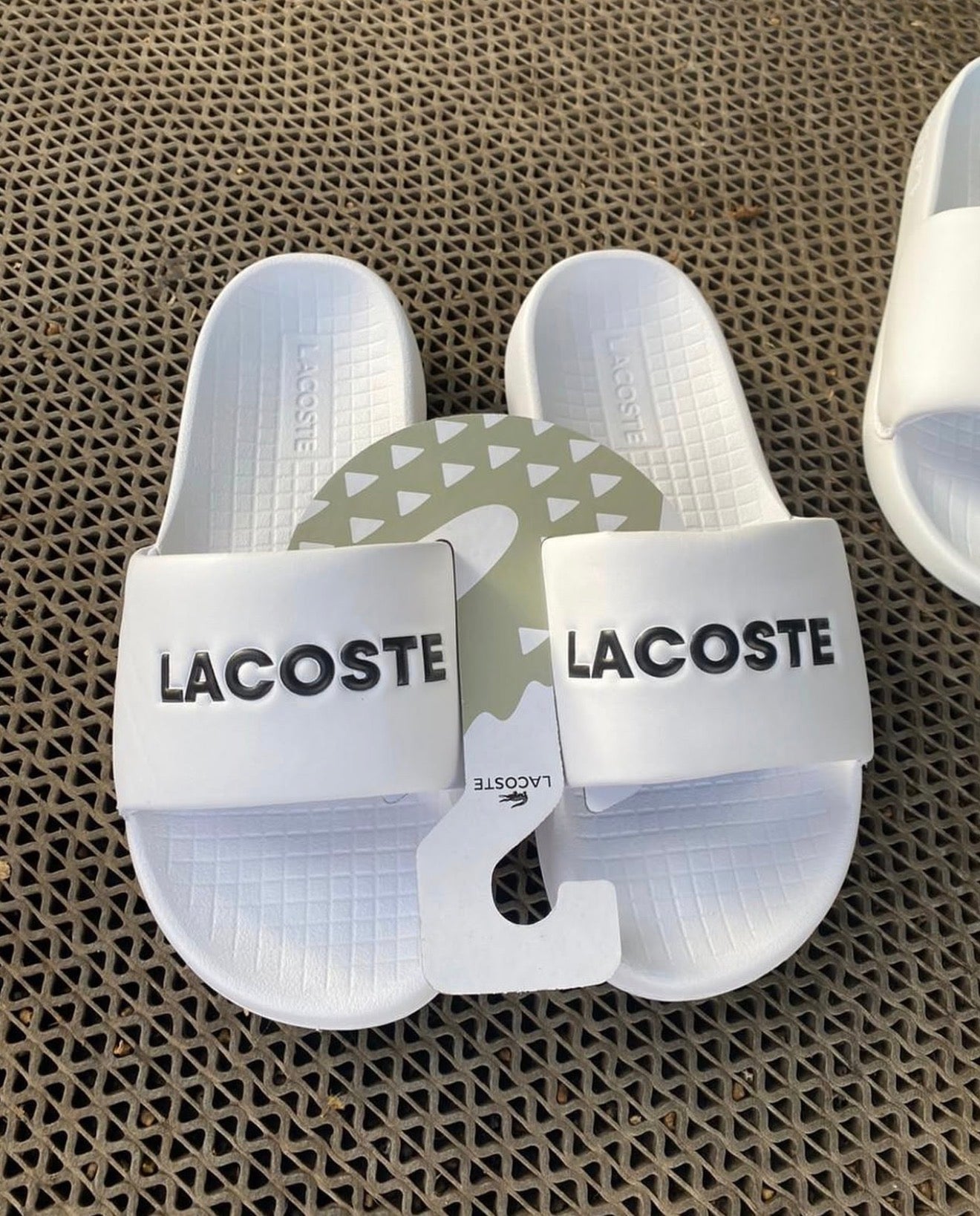 Slide Lacoste