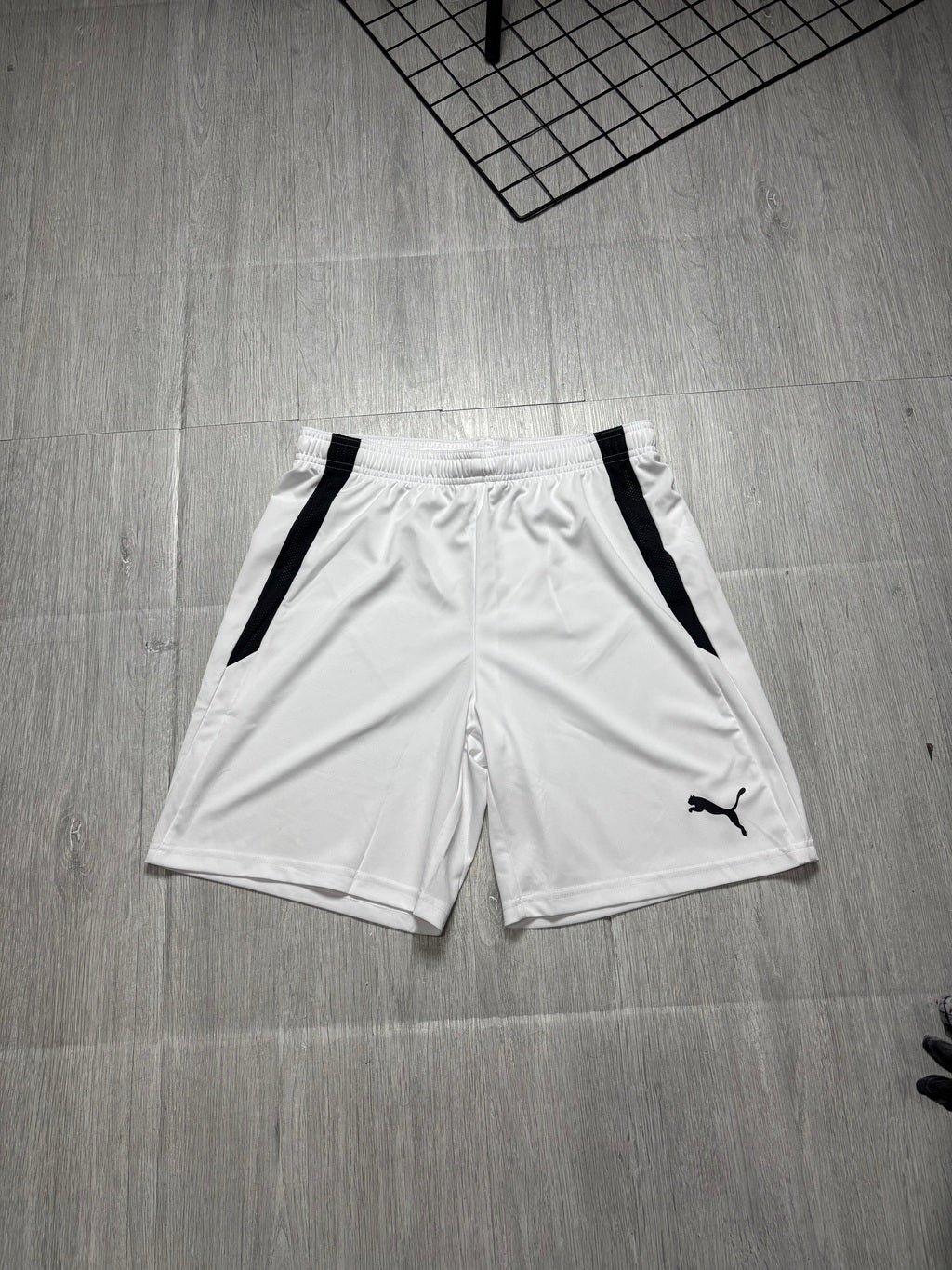 Conjunto Puma